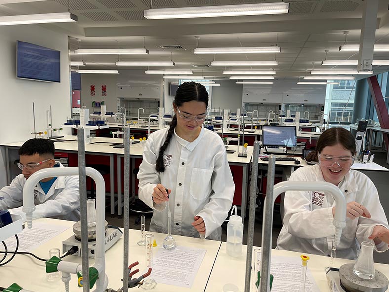 Discovery Camp students making 'nanogold'