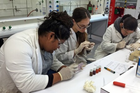 The camp where young Māori and Pasifika explore the wonders of science