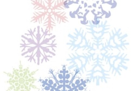 Experiment: Borax Snowflakes