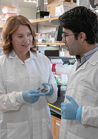 Professor Jadranka Travas-Sejdic with UCLA collaborator Yihang Chen